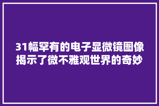 31幅罕有的电子显微镜图像揭示了微不雅观世界的奇妙旅程！