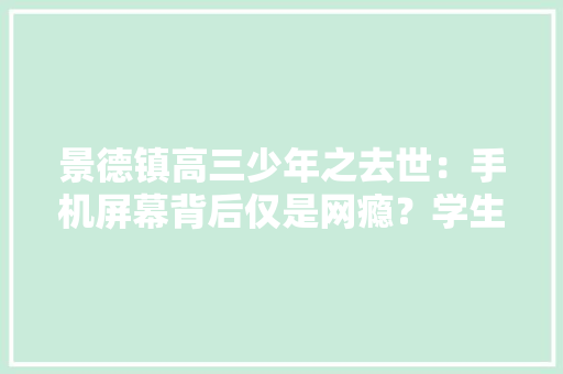 景德镇高三少年之去世：手机屏幕背后仅是网瘾？学生在校用手机该惩戒吗？