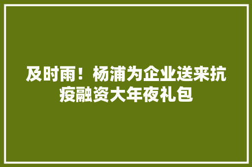 及时雨！杨浦为企业送来抗疫融资大年夜礼包