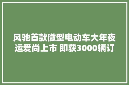 风驰首款微型电动车大年夜运爱尚上市 即获3000辆订单