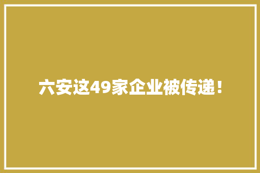 六安这49家企业被传递！