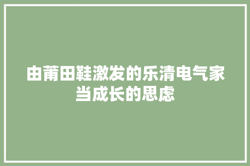 由莆田鞋激发的乐清电气家当成长的思虑