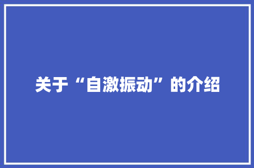 关于“自激振动”的介绍