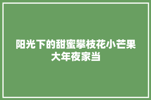 阳光下的甜蜜攀枝花小芒果大年夜家当