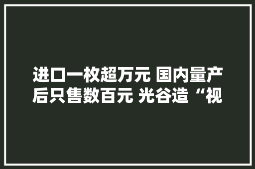 进口一枚超万元 国内量产后只售数百元 光谷造“视觉芯片”有望刷新市场
