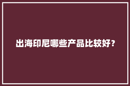 出海印尼哪些产品比较好？ 出海印尼哪些产品比较好？ 互联通信