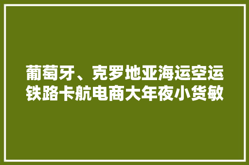 葡萄牙、克罗地亚海运空运铁路卡航电商大年夜小货敏感货DDP双清包税