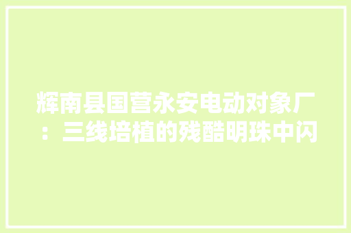 辉南县国营永安电动对象厂：三线培植的残酷明珠中闪耀的星辰 辉南县国营永安电动对象厂：三线培植的残酷明珠中闪耀的星辰 智能家居