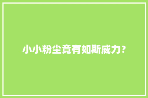 小小粉尘竟有如斯威力？