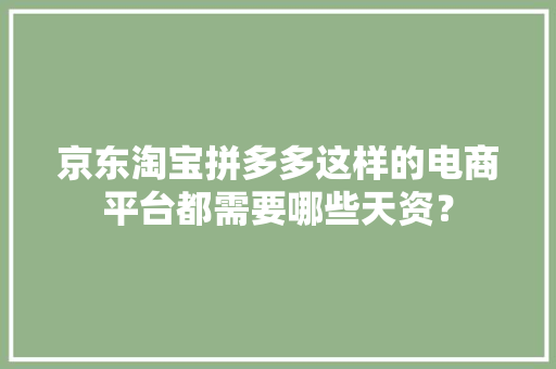 京东淘宝拼多多这样的电商平台都需要哪些天资？