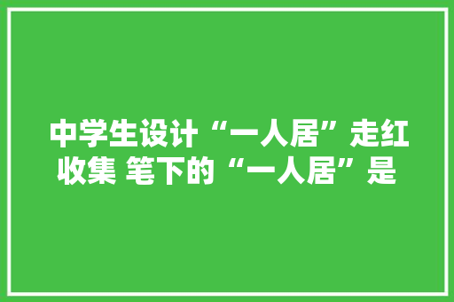 中学生设计“一人居”走红收集 笔下的“一人居”是心中“理想的家”
