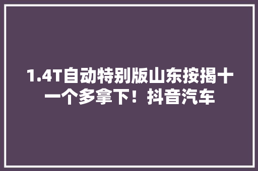 1.4T自动特别版山东按揭十一个多拿下！抖音汽车 1.4T自动特别版山东按揭十一个多拿下！抖音汽车 智能家居