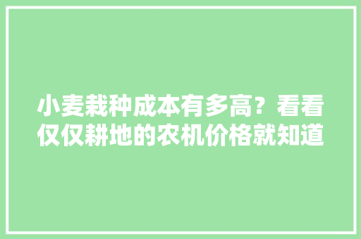 小麦栽种成本有多高？看看仅仅耕地的农机价格就知道了