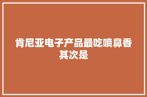 肯尼亚电子产品最吃喷鼻香其次是