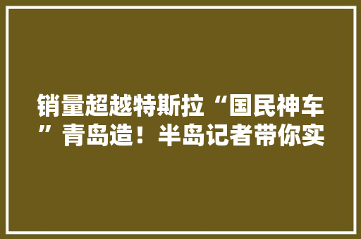 销量超越特斯拉“国民神车”青岛造！半岛记者带你实地打卡“网红工厂”