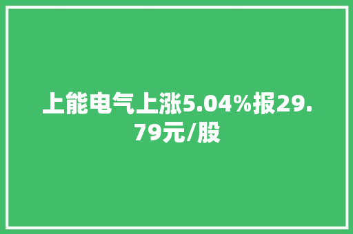 上能电气上涨5.04%报29.79元/股