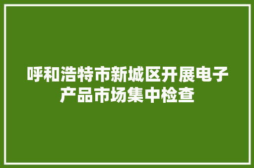 呼和浩特市新城区开展电子产品市场集中检查 呼和浩特市新城区开展电子产品市场集中检查 智能家居