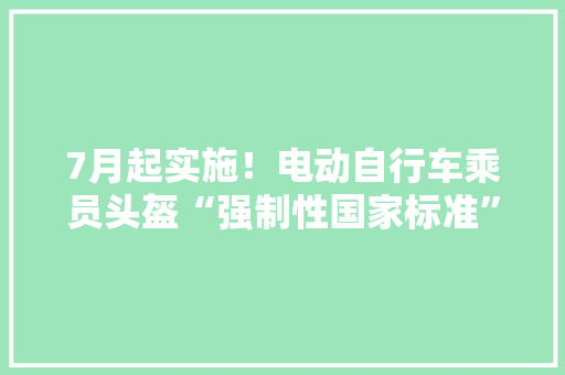 7月起实施！电动自行车乘员头盔“强制性国家标准”来了 7月起实施！电动自行车乘员头盔“强制性国家标准”来了 智能家居