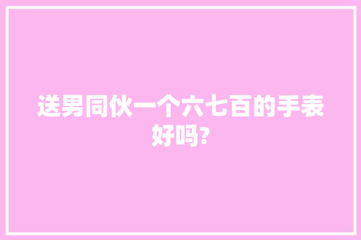 送男同伙一个六七百的手表好吗?