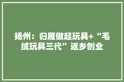 扬州：归雁做起玩具+“毛绒玩具三代”返乡创业