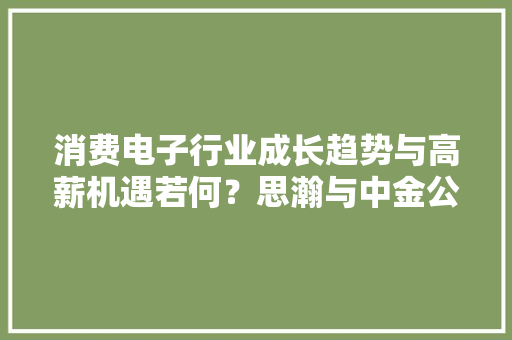 消费电子行业成长趋势与高薪机遇若何？思瀚与中金公司不雅观点解析 消费电子行业成长趋势与高薪机遇若何？思瀚与中金公司不雅观点解析 人工智能