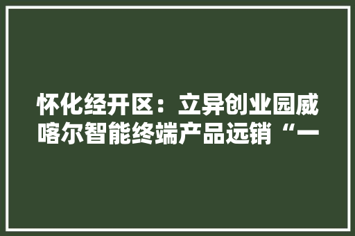 怀化经开区：立异创业园威喀尔智能终端产品远销“一带一路”周边国家
