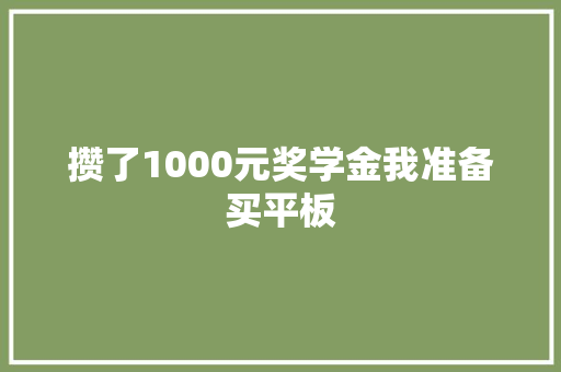 攒了1000元奖学金我准备买平板