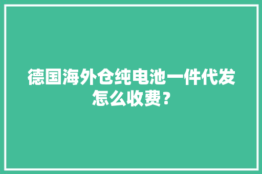 德国海外仓纯电池一件代发怎么收费？