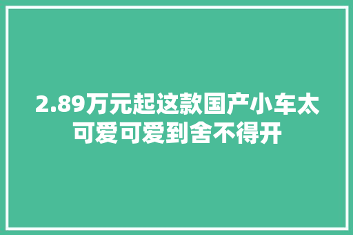 2.89万元起这款国产小车太可爱可爱到舍不得开