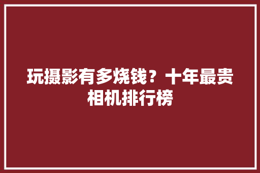玩摄影有多烧钱？十年最贵相机排行榜 玩摄影有多烧钱？十年最贵相机排行榜 人工智能