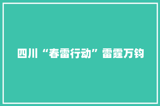 四川“春雷行动”雷霆万钧