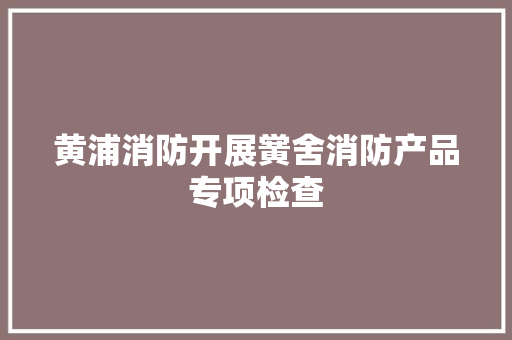 黄浦消防开展黉舍消防产品专项检查