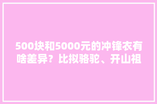 500块和5000元的冲锋衣有啥差异？比拟骆驼、开山祖师鸟就知道了 500块和5000元的冲锋衣有啥差异？比拟骆驼、开山祖师鸟就知道了 人工智能