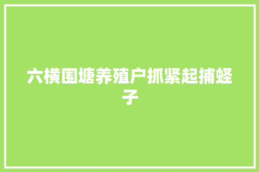 六横围塘养殖户抓紧起捕蛏子