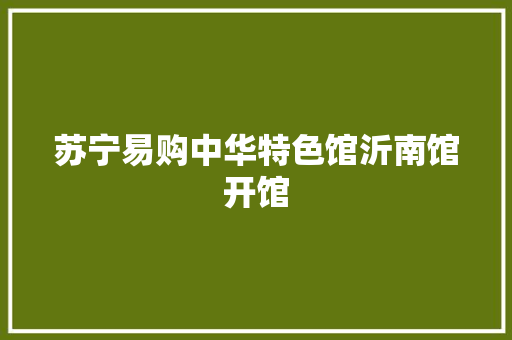 苏宁易购中华特色馆沂南馆开馆