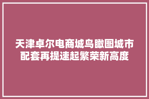 天津卓尔电商城鸟瞰图城市配套再提速起繁荣新高度
