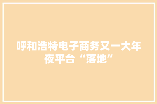 呼和浩特电子商务又一大年夜平台“落地”