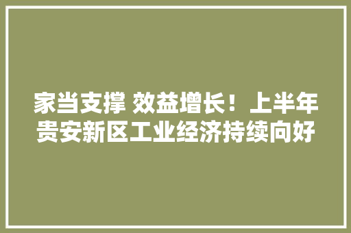 家当支撑 效益增长！上半年贵安新区工业经济持续向好