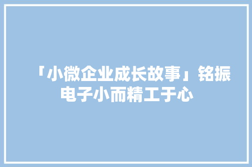 「小微企业成长故事」铭振电子小而精工于心