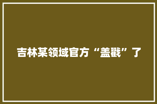 吉林某领域官方“盖戳”了