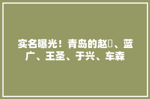 实名曝光！青岛的赵喆、蓝广、王圣、于兴、车森