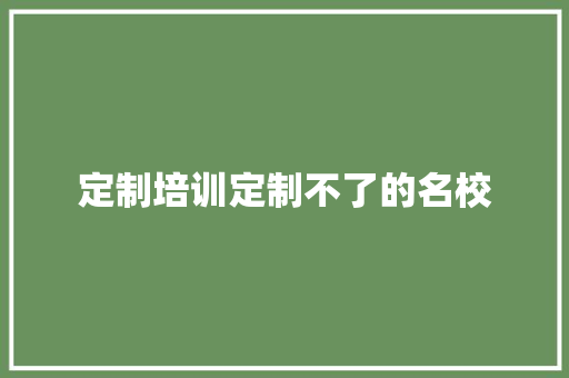 定制培训定制不了的名校 定制培训定制不了的名校 人工智能