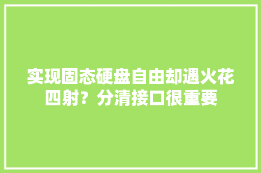 实现固态硬盘自由却遇火花四射？分清接口很重要