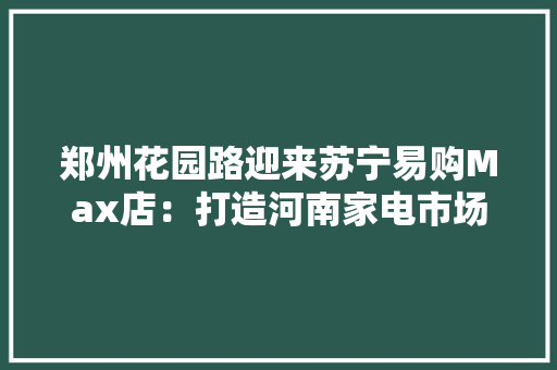 郑州花园路迎来苏宁易购Max店：打造河南家电市场的“超级体验”