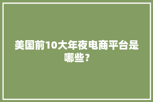 美国前10大年夜电商平台是哪些？