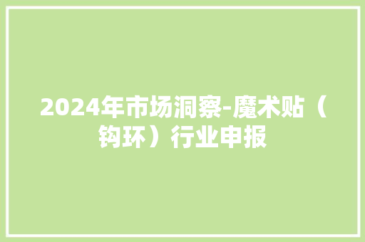 2024年市场洞察-魔术贴（钩环）行业申报 2024年市场洞察-魔术贴（钩环）行业申报 智能科技