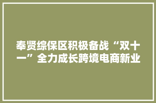 奉贤综保区积极备战“双十一”全力成长跨境电商新业态