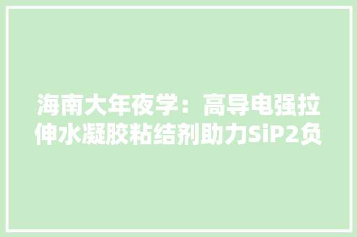 海南大年夜学：高导电强拉伸水凝胶粘结剂助力SiP2负极可逆性提升