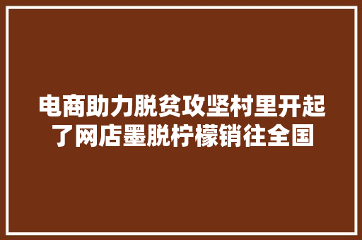 电商助力脱贫攻坚村里开起了网店墨脱柠檬销往全国