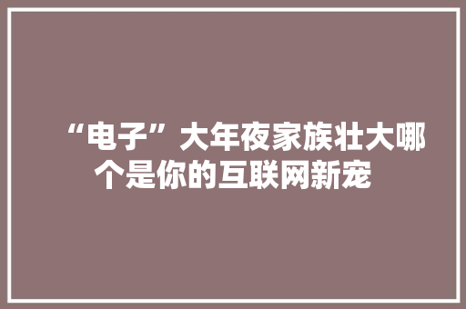 “电子”大年夜家族壮大哪个是你的互联网新宠 “电子”大年夜家族壮大哪个是你的互联网新宠 智能科技